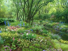 -上海共青森林公园