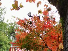 -虞山风景区