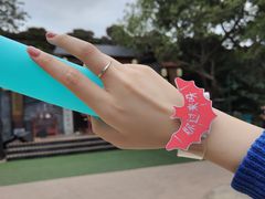 -广州长隆欢乐世界
