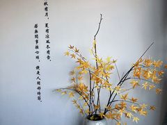 -小茶闲舍·观景商务茶馆(广州塔店)