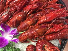 -红盔甲·小龙虾(天钥桥店)