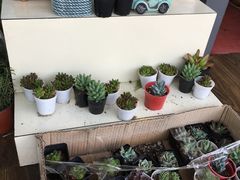 -花言草语鲜花店(灵山路店)