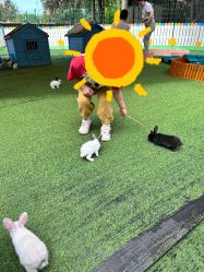 -萌宠亲子动物乐园(槐房万达店)