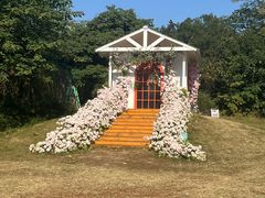 -白马涧龙池景区