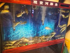 -肆月河豚·新淮扬(金融街店)