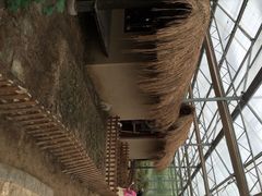 iphone_upload_pic-上海都市菜园