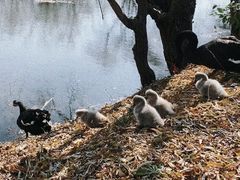 -长兴太湖图影湿地文化园