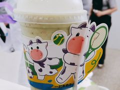 -一只酸奶牛(春熙路店)