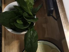 -洪氏嗨捞·猪肚鸡火锅(阳光天地店)