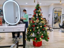 -新晨·SALON·形象造型