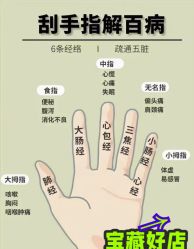 -舒欣头疗·俏丝谧语 白发脱发专业护理 