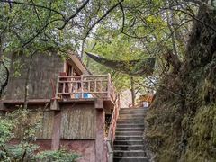 -紫鹊界梯田景区