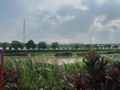 -那考河湿地公园