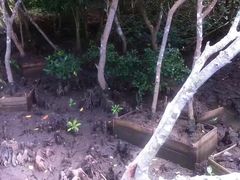 -东寨港红树林旅游区