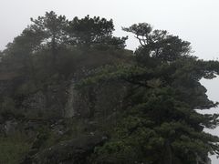 -萍乡武功山风景名胜区