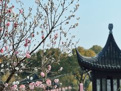 -盘门景区
