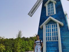 -铁山坪森林公园