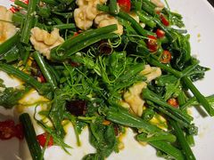 凉拌丝瓜尖-蛙蛙叫干锅年代(簋街总店)