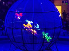 -俄罗斯国家大马戏团