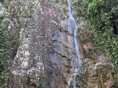 -海南霸王岭国家森林公园