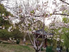-堤角公园
