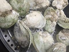 -蚝专家(北滘店)