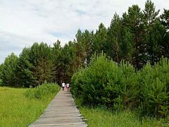 景点-北极村旅游风景区