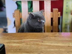 -老北京褡裢火烧·任记