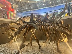 -国家自然博物馆