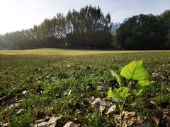 -长白岛森林公园