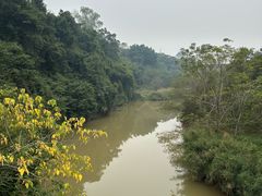 -南宁良凤江国家森林公园