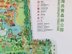 -上海共青森林公园