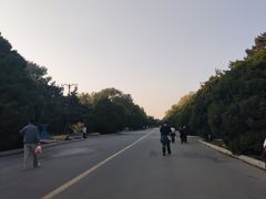 -北陵公园