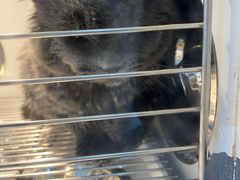 -佳雯宠物医院(金华南路分院)