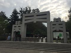 -宋井风景区