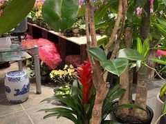 -双季花艺园艺市场(浦东店)