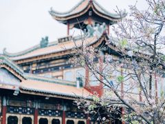 -宝墨园景区