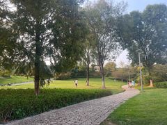 -铁山坪森林公园