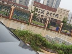 -南昌市育新学校(九龙湖新城分校)