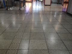 -桃浦新村(地铁站)