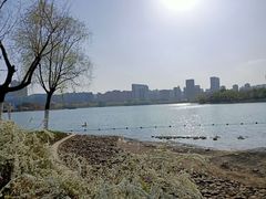 -天鹅湖体育公园
