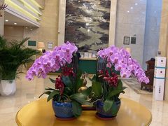 -上海吉臣维景酒店·维多利亚餐厅