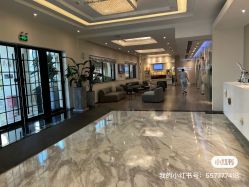 -上海首尔丽格医疗美容医院