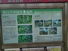 -万绿园