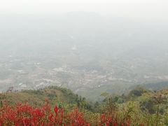 -铁山坪森林公园