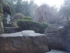 -金孔雀温泉旅游度假村