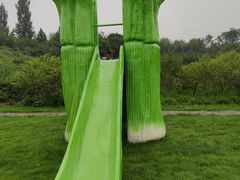 -西部长青自然儿童乐园