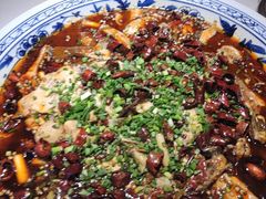 -新概念来凤鱼(璧山店)