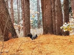 -帽儿山风景区