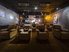 -上海盛视天橙传媒股份有限公司